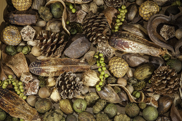 Christmas botanical potpourri background image. Selection includes pine cones, nuts and berries.