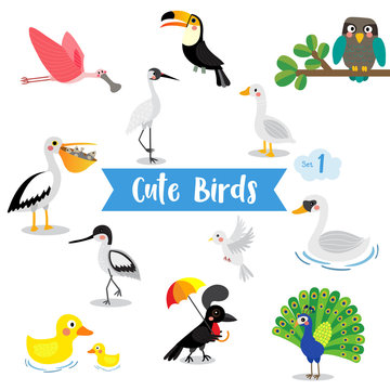 Cute Birds Animal cartoon on white background. Duck. Dove. Peacock. Swan. Owl. Goose. Toucan. Crane. Pelican. Umbrellabird. Roseate Spoonbill. Avocet. Vector illustration. Set 1.