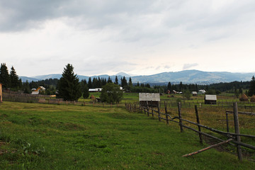 Fototapeta na wymiar Meadow landscape in Bucovina hills of Romania