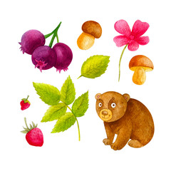 Watercolor set of cute bear with strawberries, mushrooms, leaf, flower and shadberry