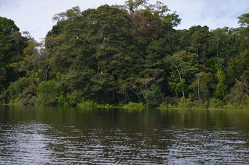 Rio Amazonas