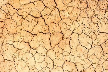 Cracked soil texture background