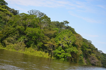 Rio Amazonas