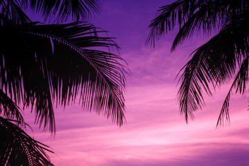 Naklejka premium Silhouette of palm trees at sunset