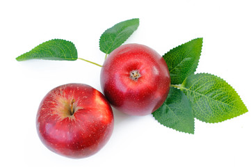 top view pair red apples isolated with leaf