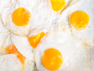 Group of fried eggs