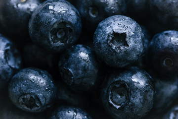 Fresh ripe pile of blueberries macro close up