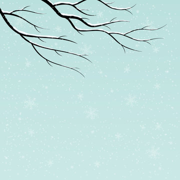Winter background with tree branch and falling snow. 