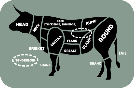 Cuts of beef vector illustration. Poster Butcher Diagrams for butcher shop - Cow