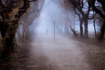 Lonely woman leaning on lamp post in central park alley on foggy