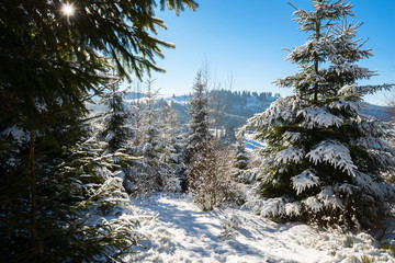 Winter sun illuminates the snow-covered slopes