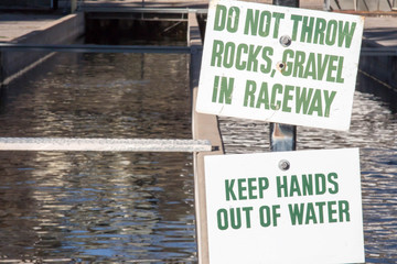 Signs at a fish hatchery to not throw rocks and keep hands out of the water