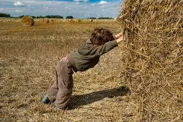 Naklejka na ściany i meble Little boy pushes stack of hay