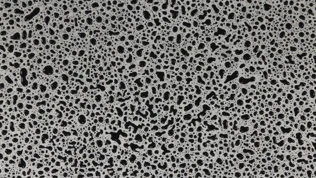 Abstract background. Zoom black drops of rain on a white background.