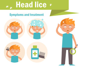 Head lice. Symptoms and treatment