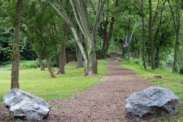 Wooded path along Susquehanna River in Wrightsville, PA