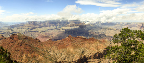 Panorama of Grand Canyon National Park, Arizona