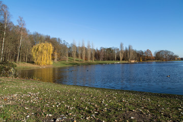 Kölner Stadtwald, Kalscheurer Weiher, Deutschland, Herbst; Cologne city forest, pond, germany,...