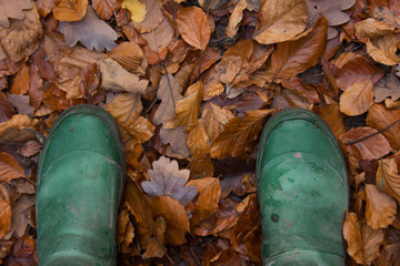 Autumn Boots