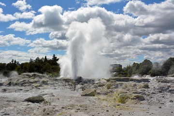 Pohutu geyser in Rotorua, New Zealand