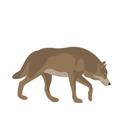 wolf vector illustration style Flat