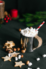 Hot cacao cup with melting marshmallow and cookies