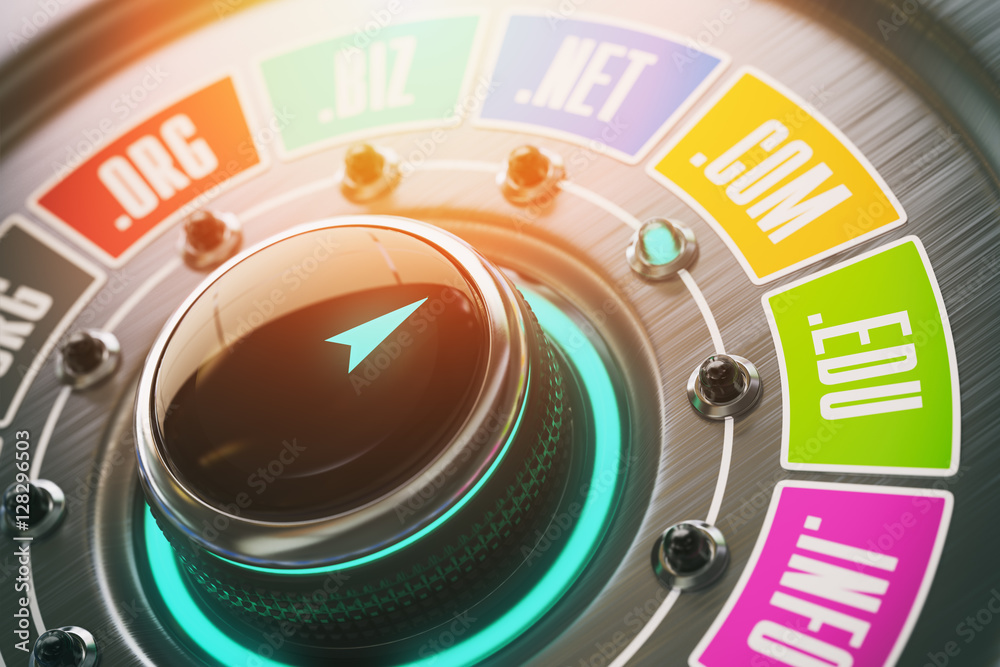 Poster Domain name choice concept. Knob switch button and website  inte