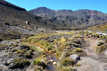 Landscape in Tongariro national park, New Zealand.