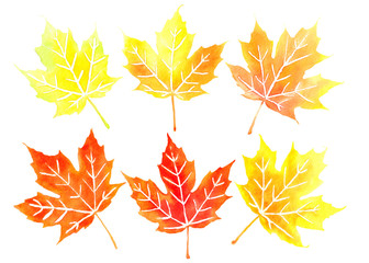 Six orange canadian maple leaves