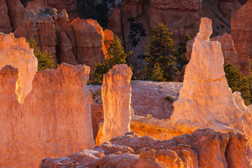 Bryce Canyon National Park. Queen Victoria Hoodoo at the Queens
