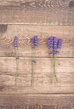 Lavender on rustic wooden background. Top view. 