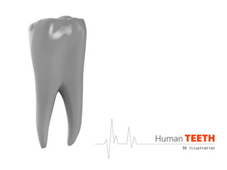 3D Illustration of Teeth , medicine and health concept design element.
