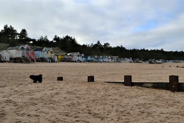 coast beach huts 