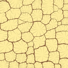 texture of the dried soil with large and small cracks