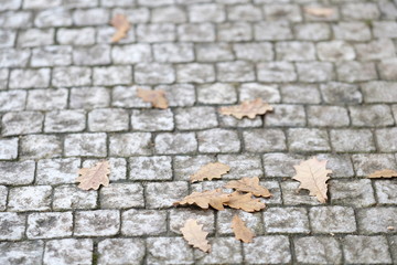 Background with the image of a stone pavement