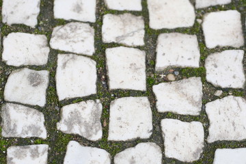 Background with the image of a stone pavement