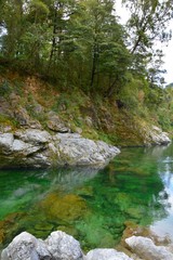 Crystal clear waters of Pelorus River in Marlborough Sounds, New Zealand.