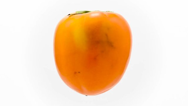 Orange mature kaki suspended in the air rotates in loop 