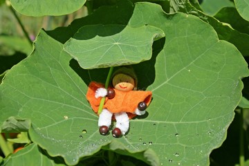 Kleiner Wichtel mit Regenschirm sitzt auf Blatt der Kapuzinerkresse 