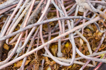 pile of scrap copper