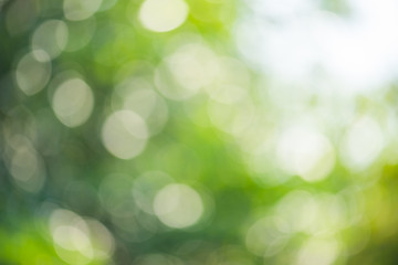 Green nature blur abstract defocus