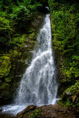 Obraz premium beautiful waterfall among the amazing forest
