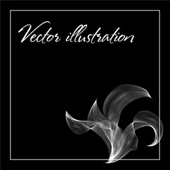 Vector illustration white lily