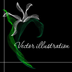 Vector illustration white flower