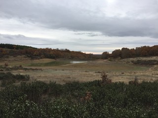 Naklejka premium Paisaje otoñal