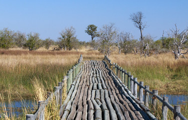 Bridge to Nowhere