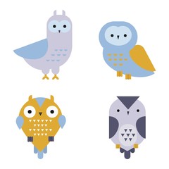 Owl wild bird cartoon vector.