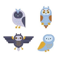 Owl wild bird cartoon vector.