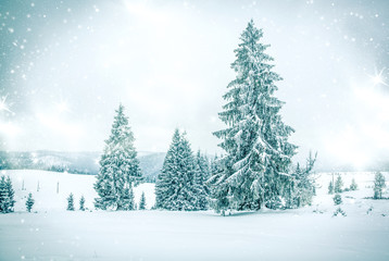 Fototapeta premium snowy winter landscape