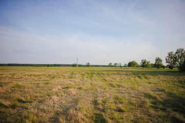Obraz premium Natural meadow in spring